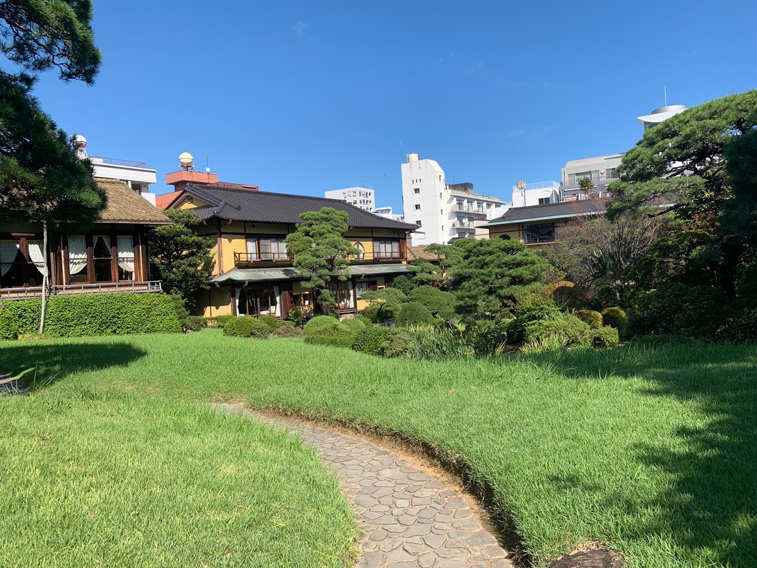 20241015_takamijun01